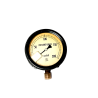 Pressure Gauge