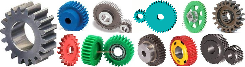 Spur Gear