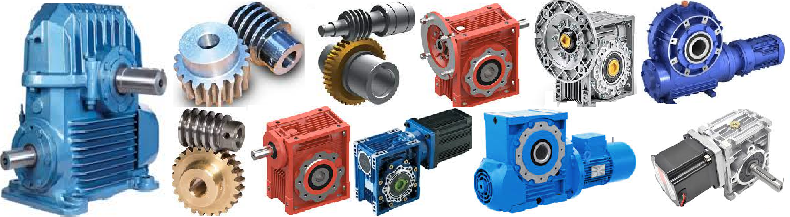 Worm Gear