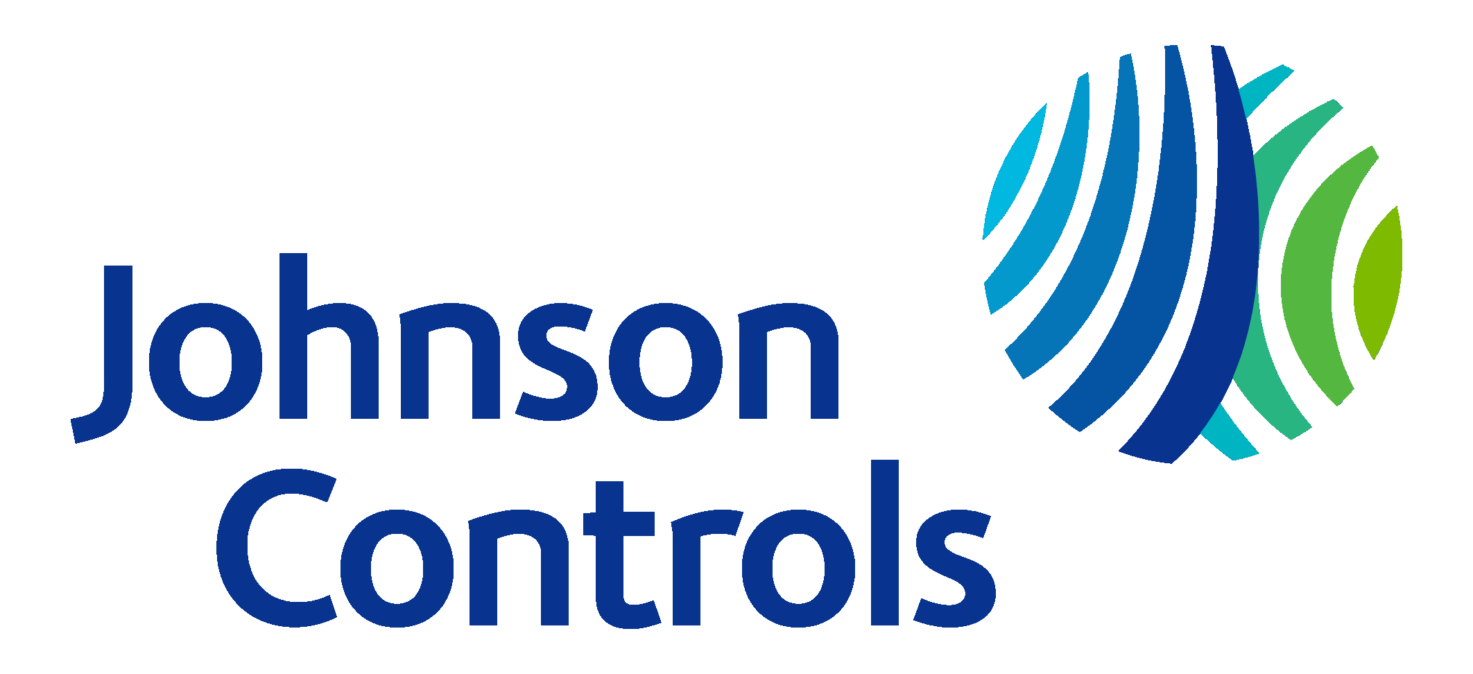 Johnson Control